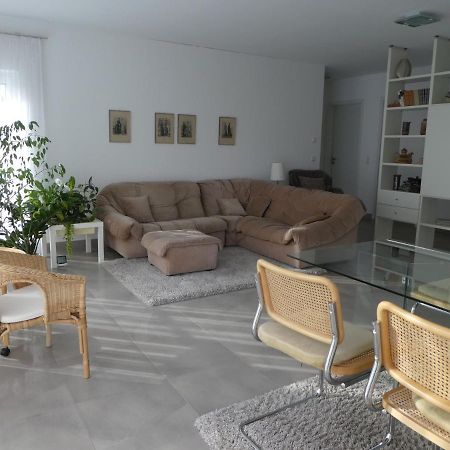 Grosszuegige,Zetrumsnahe Wohnung دريسدن المظهر الخارجي الصورة