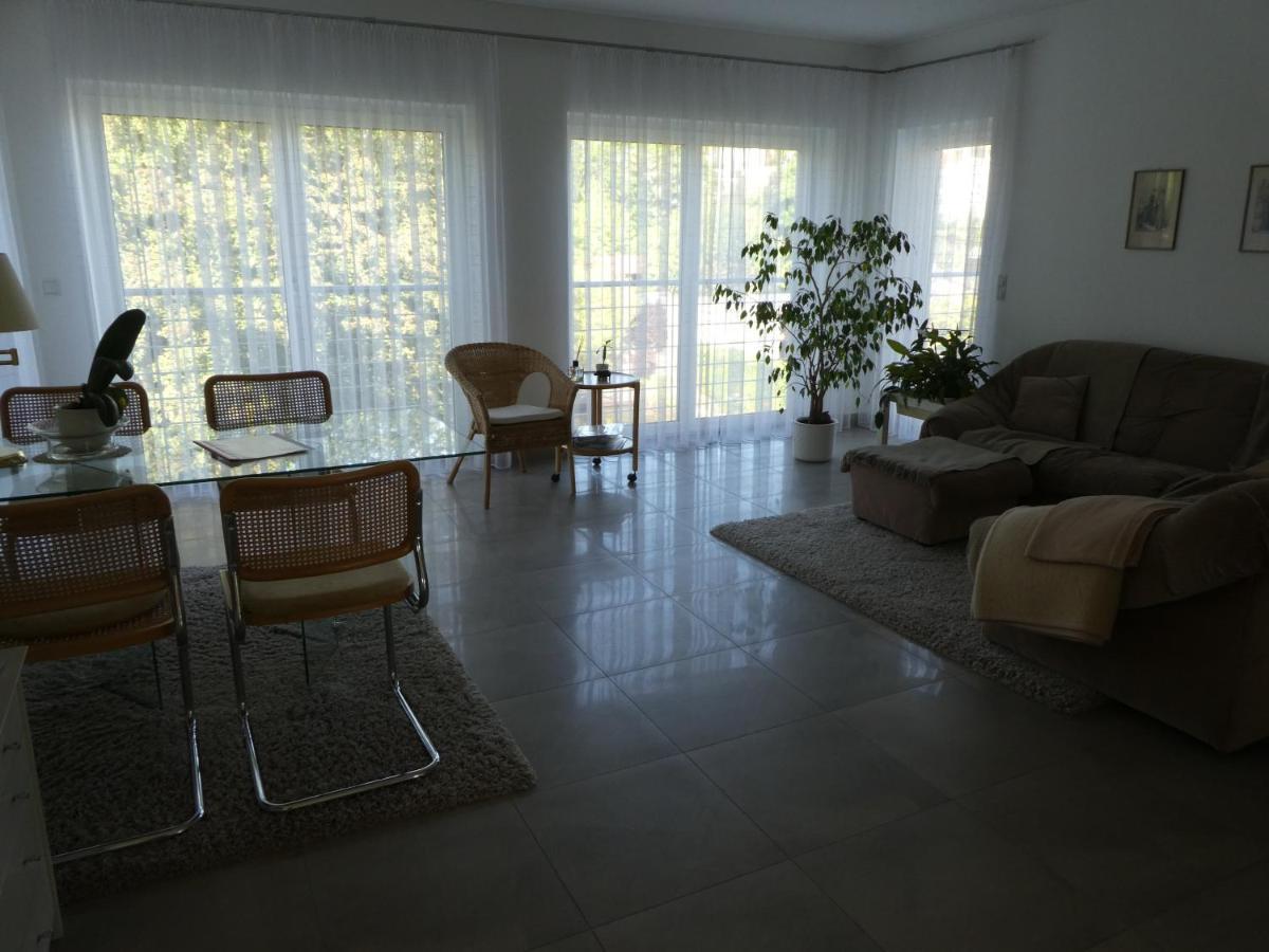 Grosszuegige,Zetrumsnahe Wohnung دريسدن المظهر الخارجي الصورة