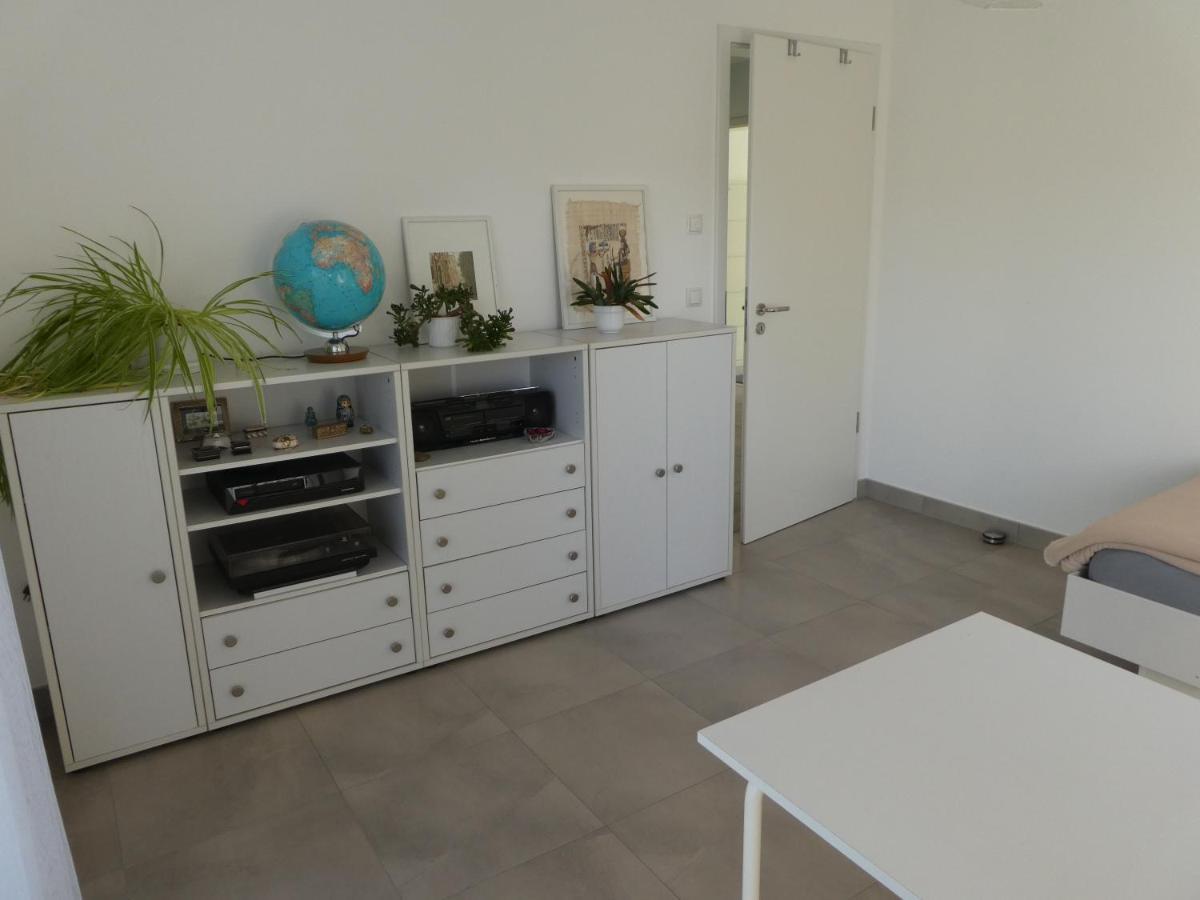 Grosszuegige,Zetrumsnahe Wohnung دريسدن المظهر الخارجي الصورة